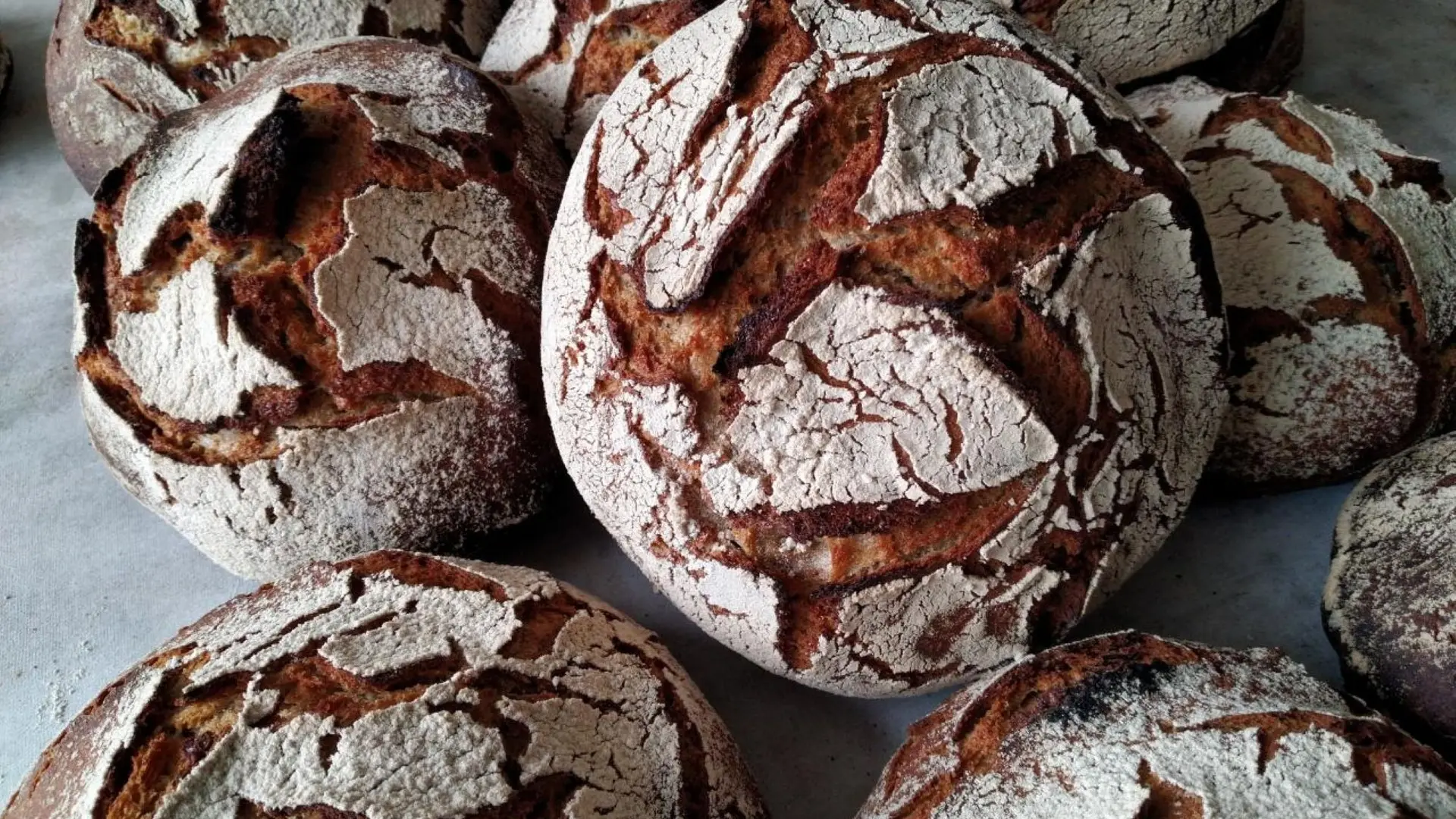 boules de pain au levain bio