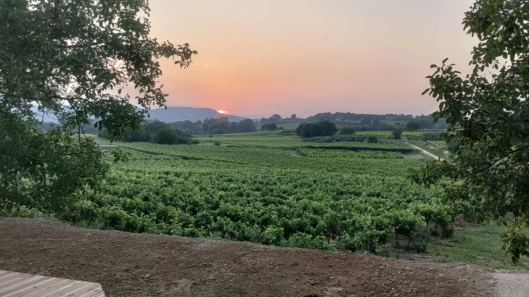 La vue de la terrasse