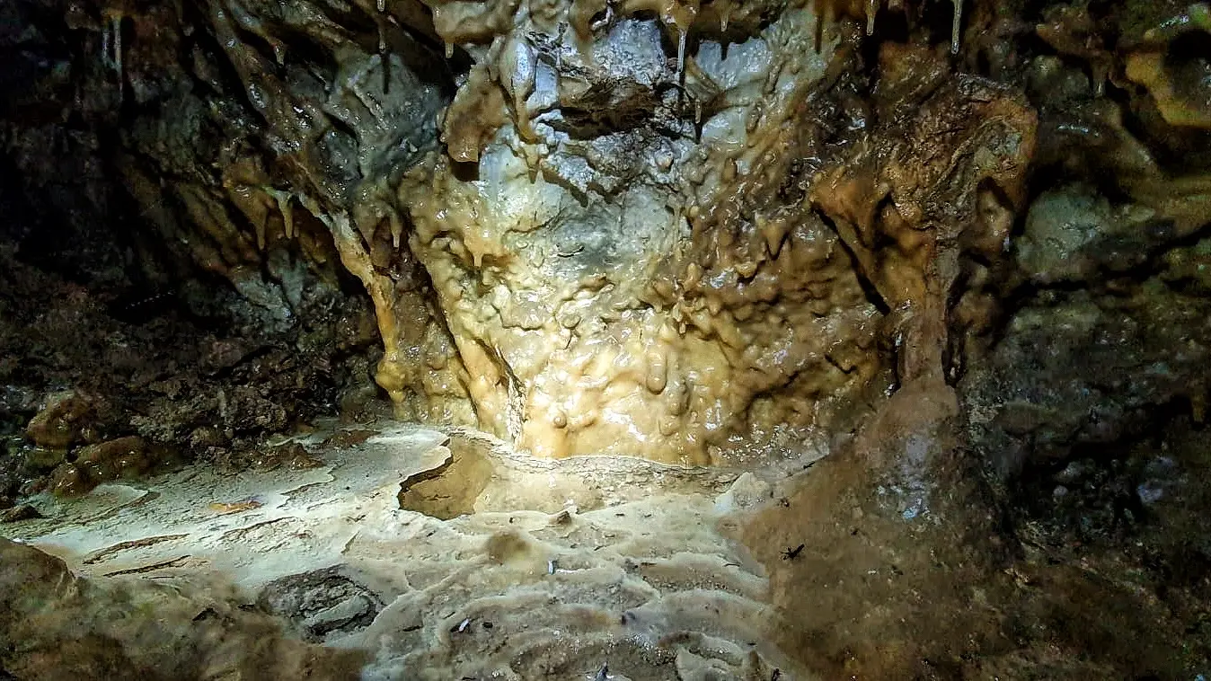 Spéléologie en famille - découvertes et apprentissages du milieu souterrain