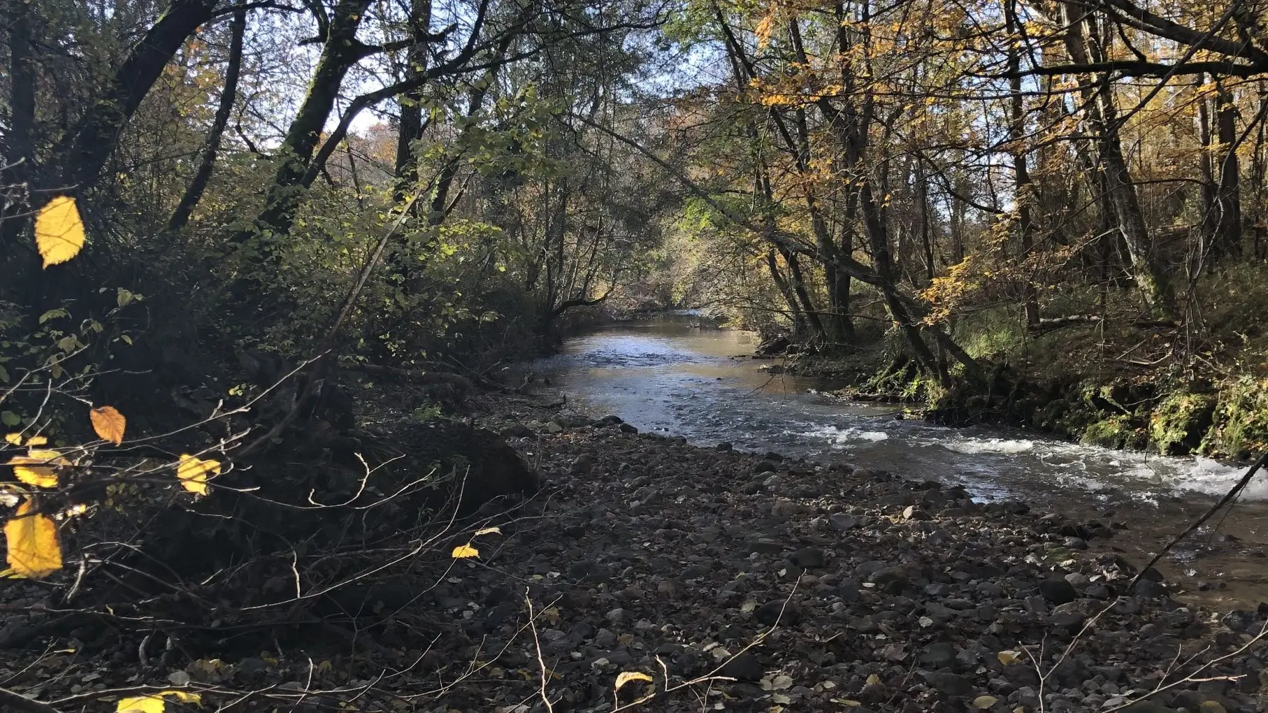 Chemin du Grain de Sel - Au bord du Cérou
