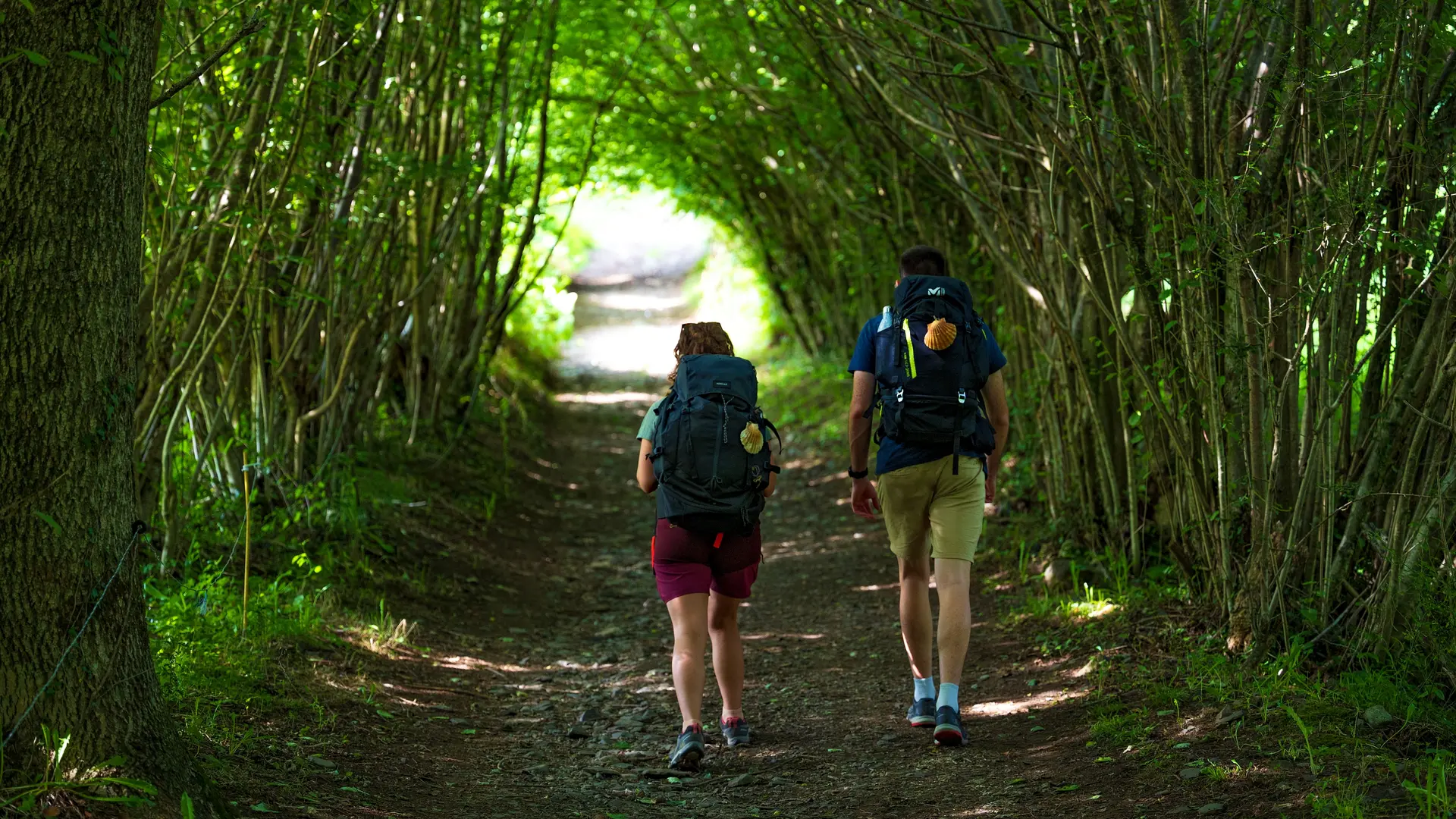 Chemin depuis Saint Lizier vers Moulis