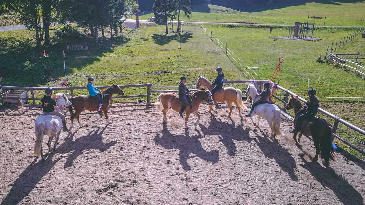 Le Poney Cernaise