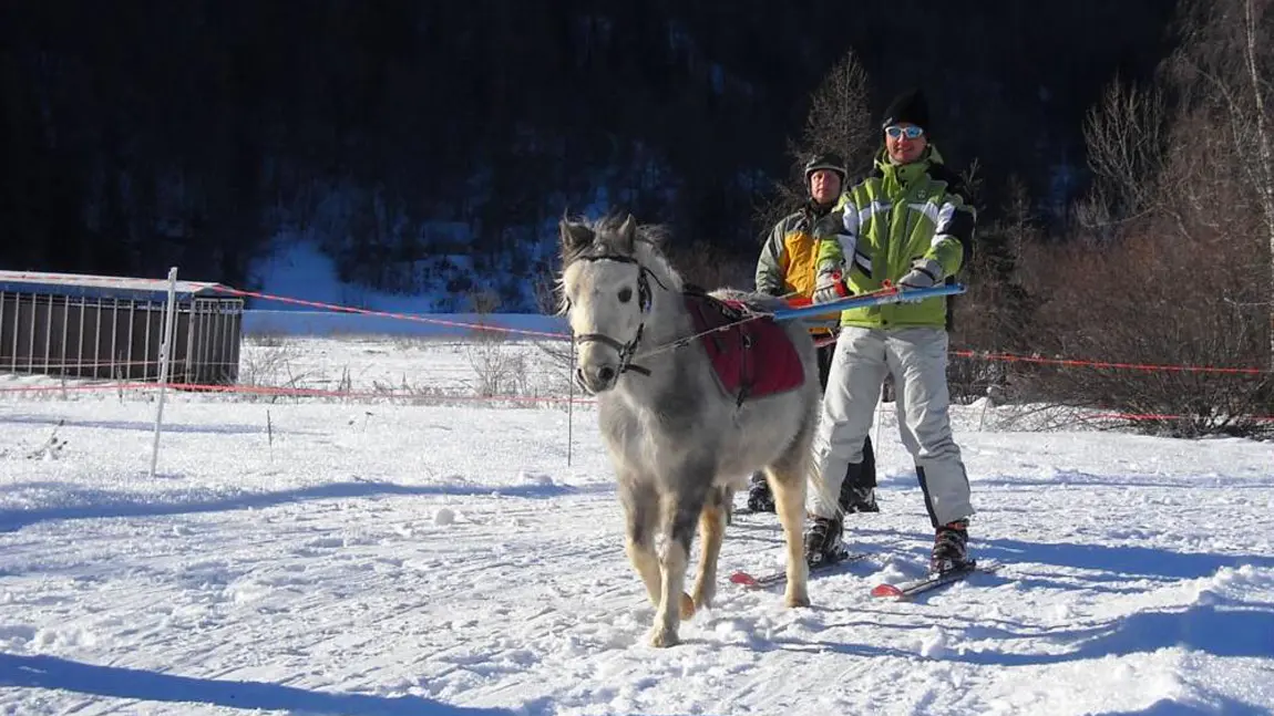 Initiation au ski joering, centre équestre Les Ecuries des Ecrins, St Léger-les-Mélèzes