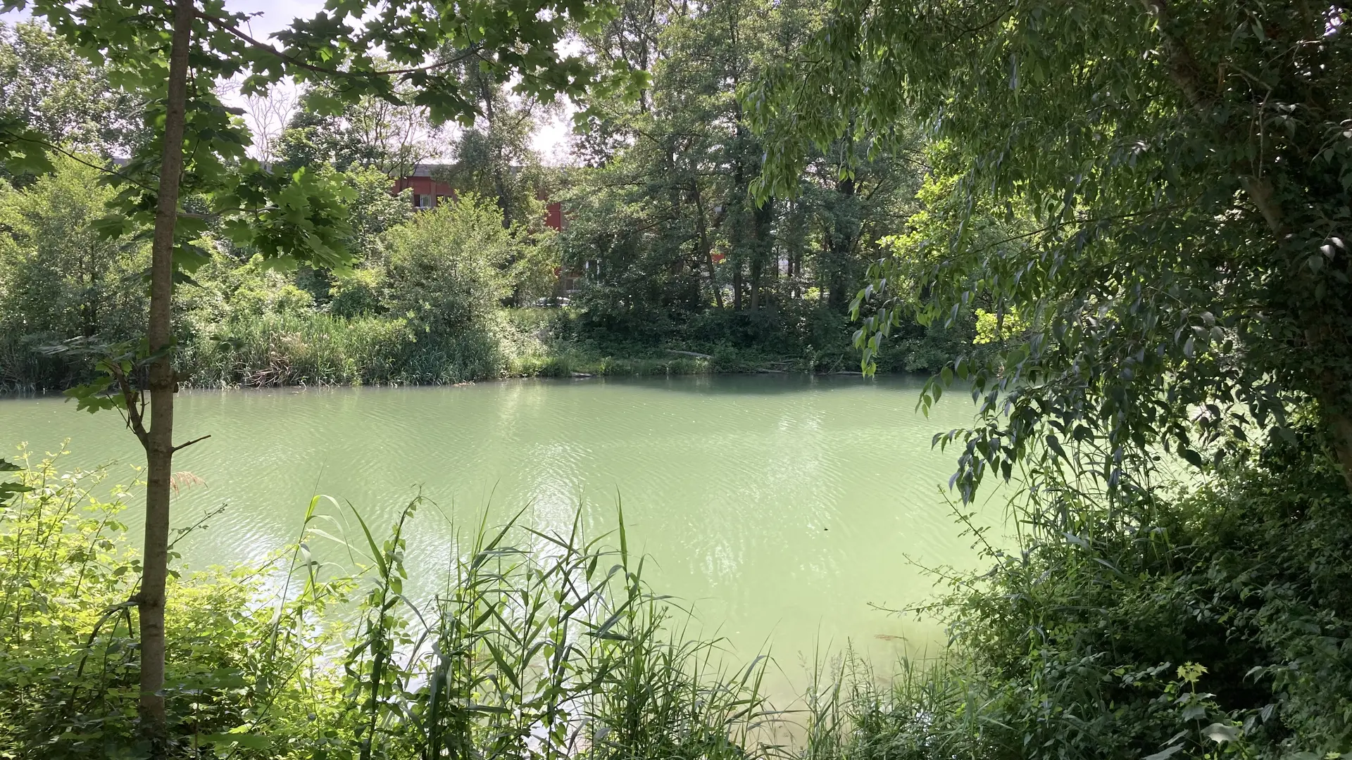 Les jardins de la Galaure à Saint-Vallier sur Rhône