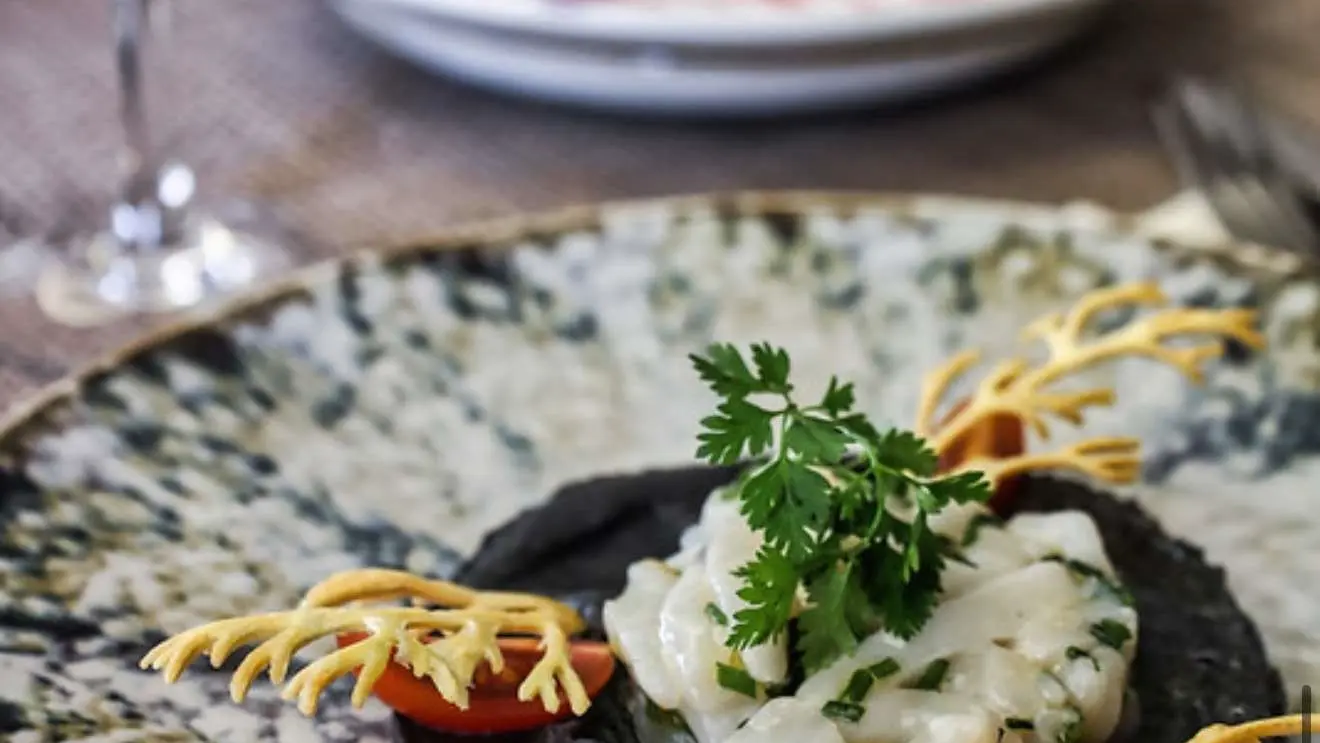 B2 Restaurant_Fontaine-de-Vaucluse carpaccio de noix de st jacques