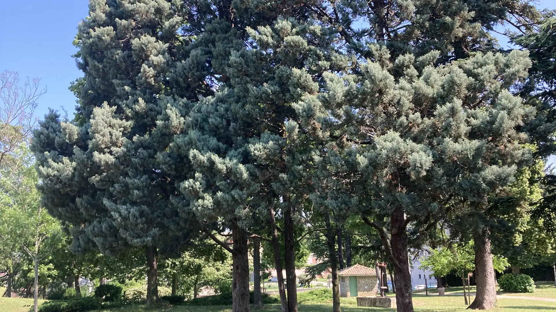 Parc de Bonrepos à Saint Rambert d'Albon