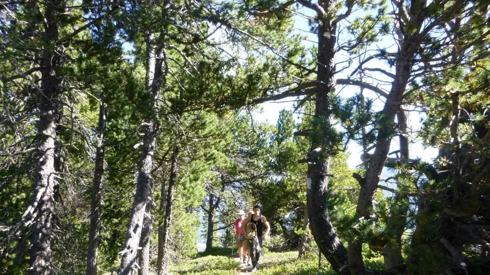 Randonnée à Chabanon