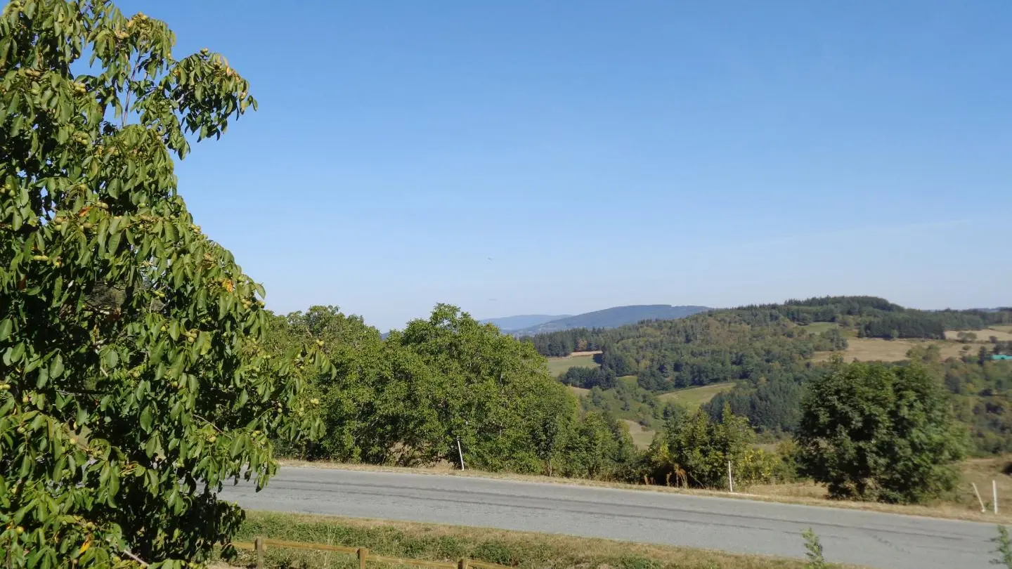 Vue sur la campagne.