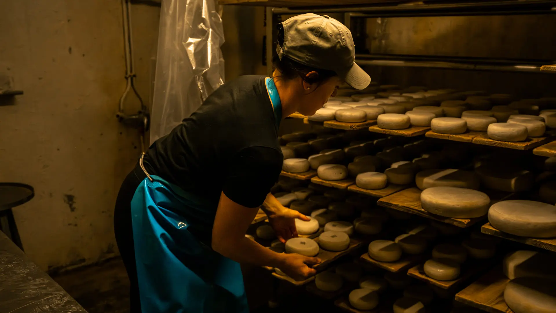 Travail d'affinage sur du fromage de chèvre