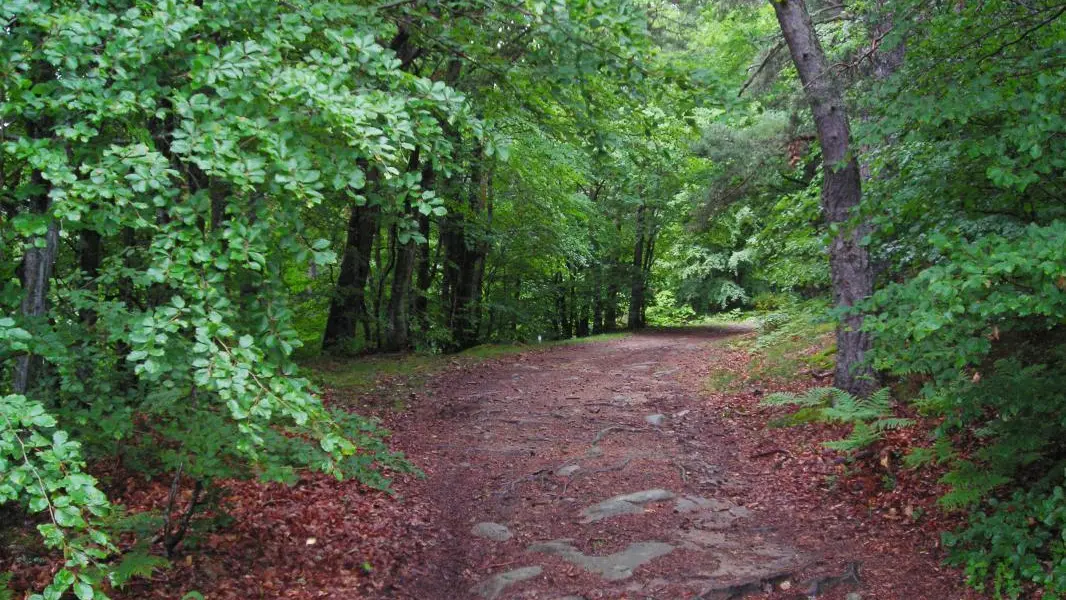 Chemin de randonnée.