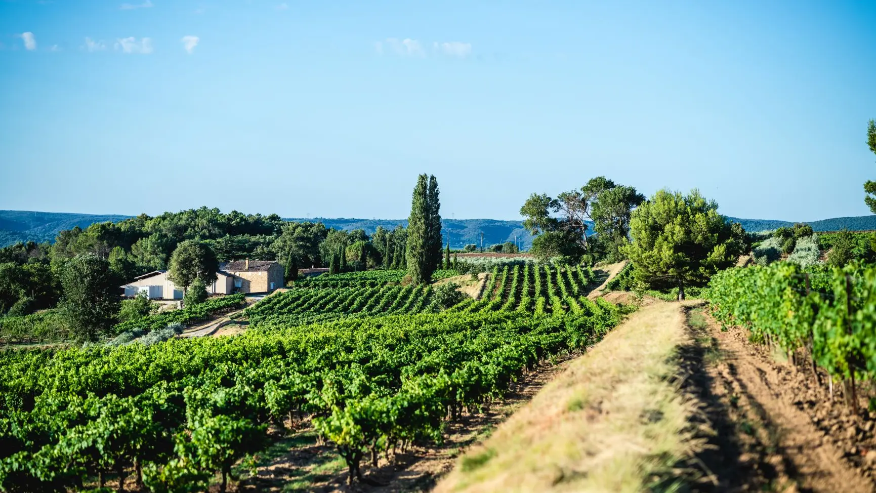 Le Domaine La Réméjeanne entouré des vignes