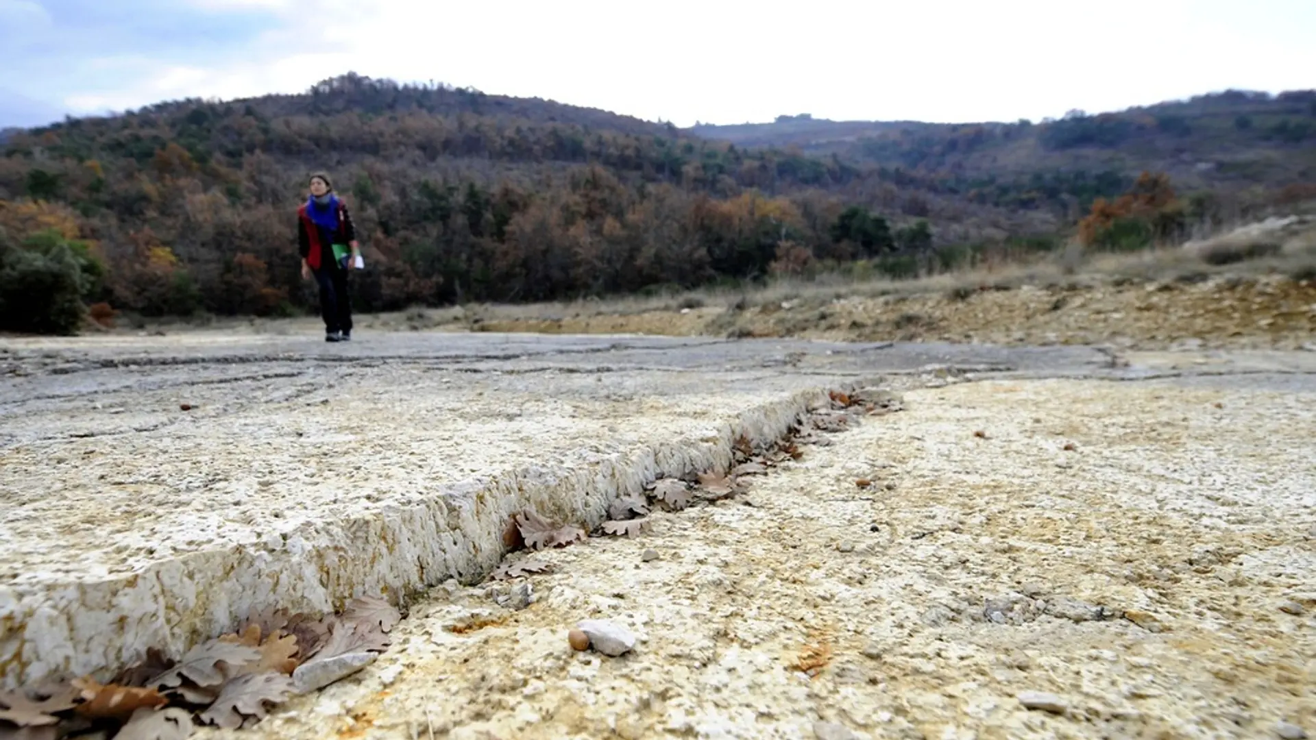 Dalle à empreintes fossilisées de Viens