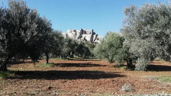 Toute la Provence en un jour