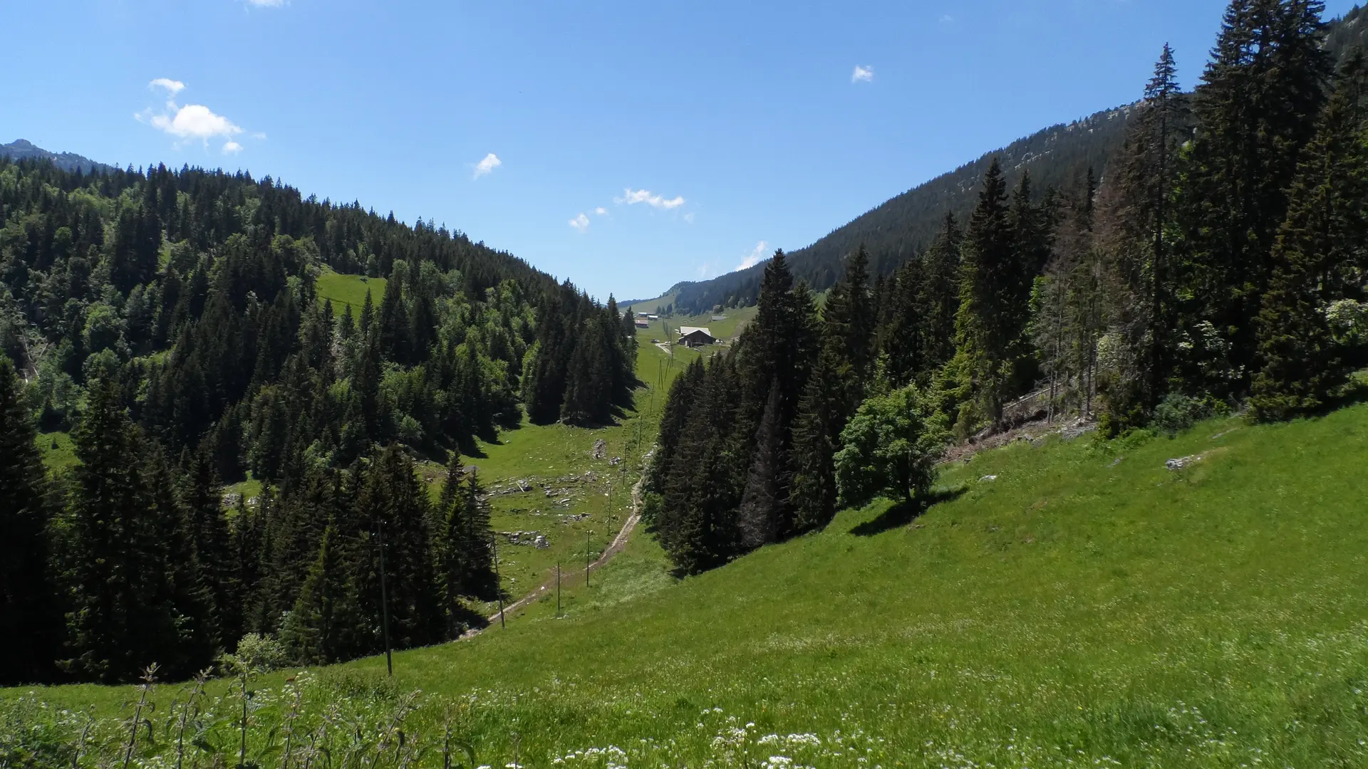 Plateau des Glières