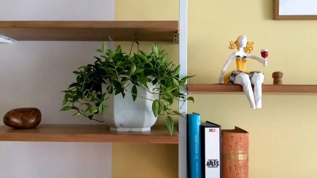 Une déco charmante : livres, lithographies et plantes vertes !