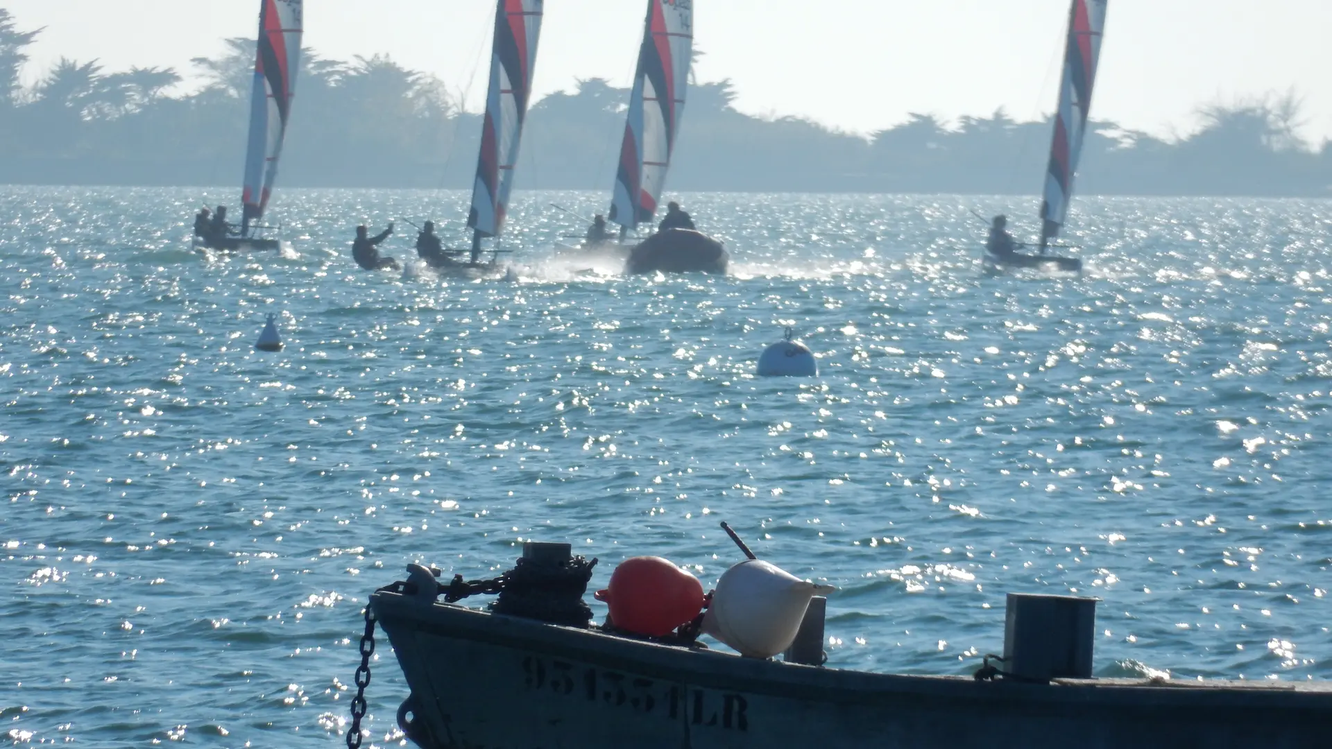 Stage de catamaran junior sur le Fier d'Ars
