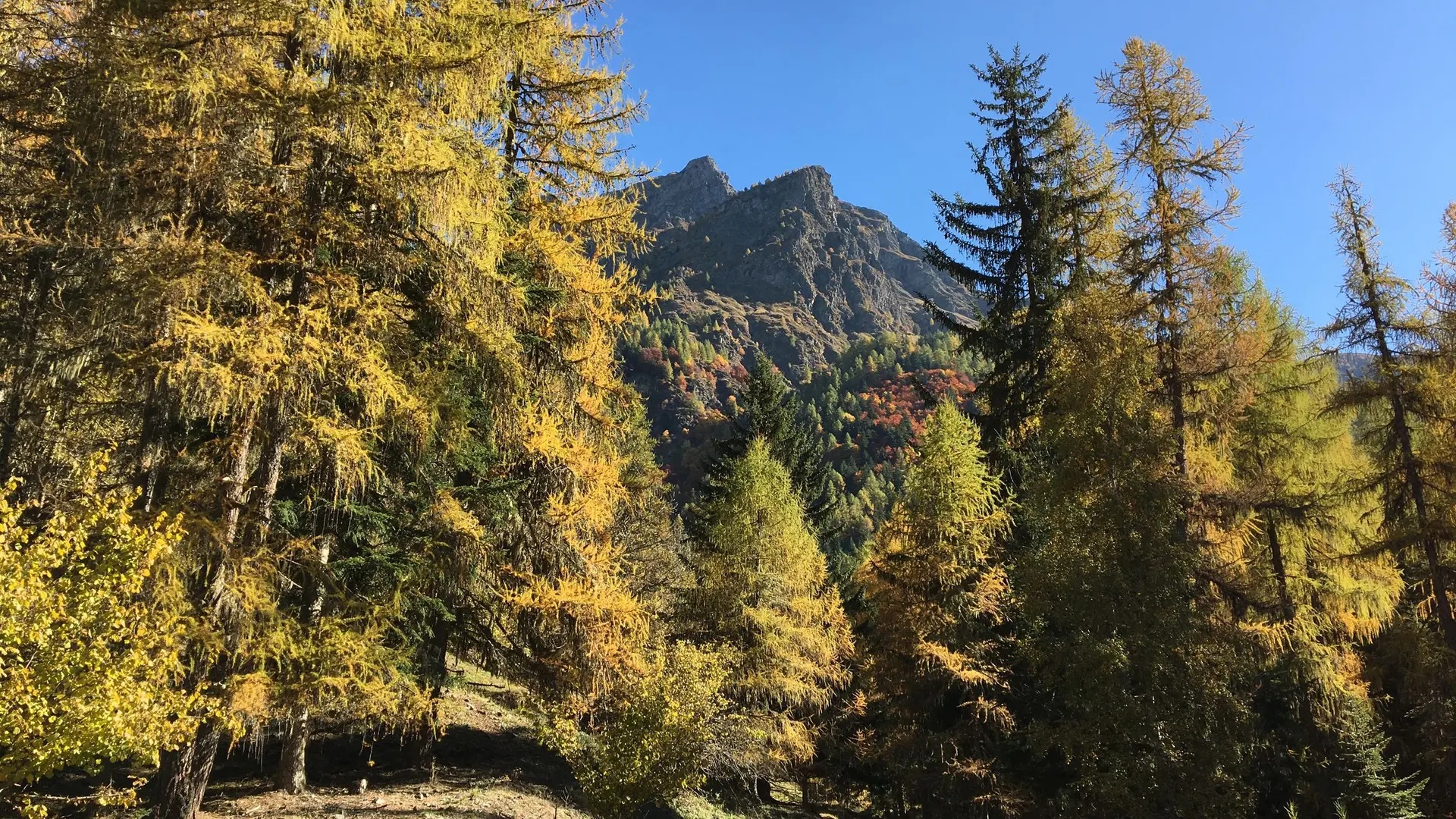 Sur le sentier du Roy