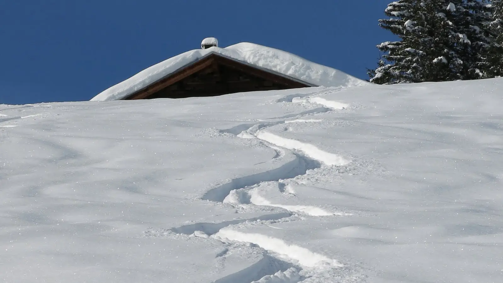 Ski de randonnée