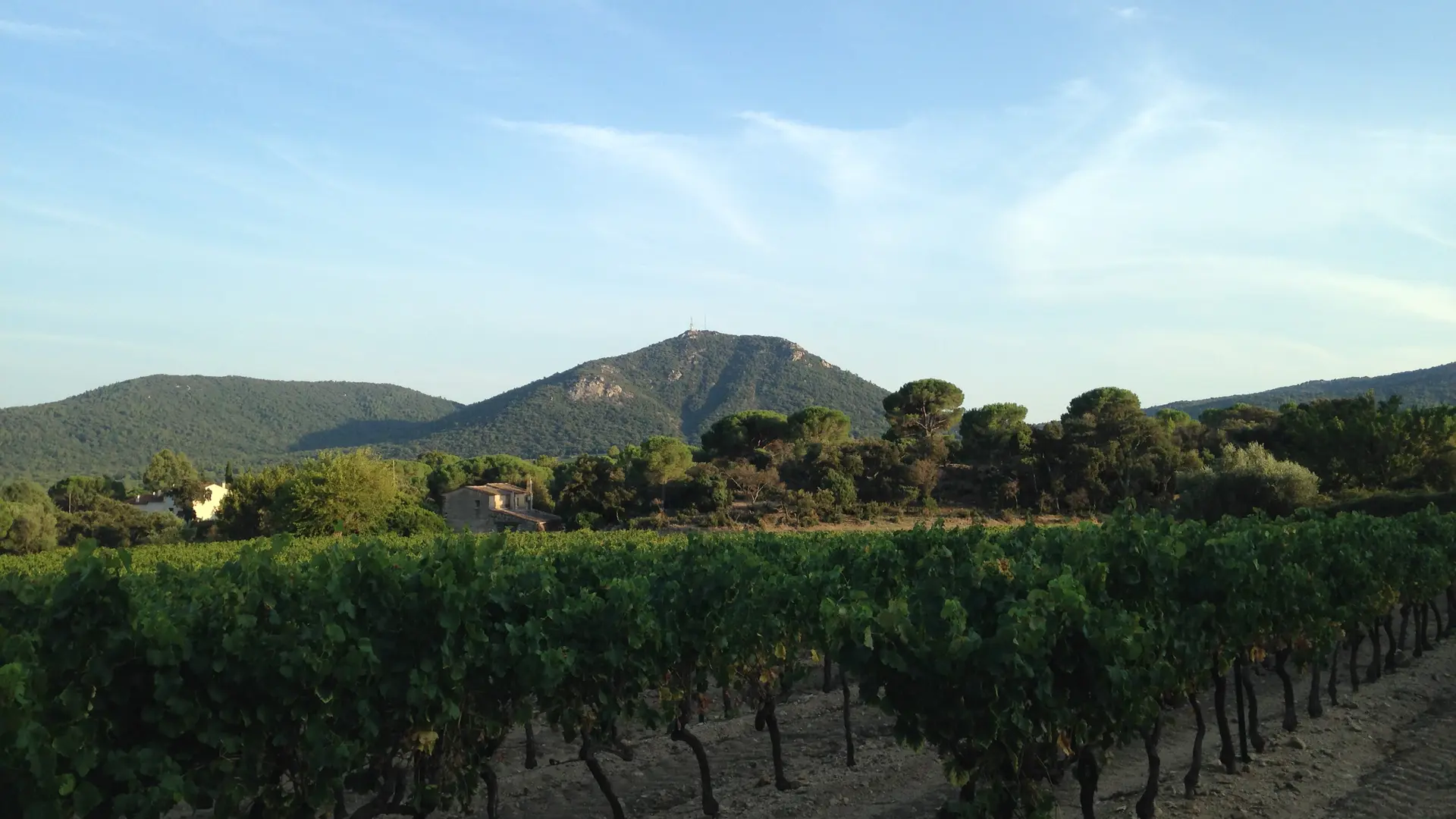campagne