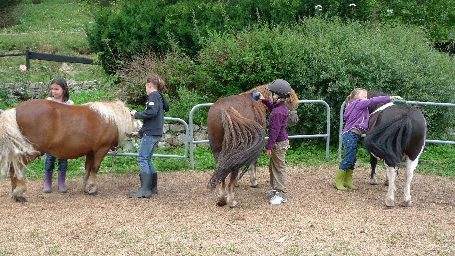 Le Poney Cernaise