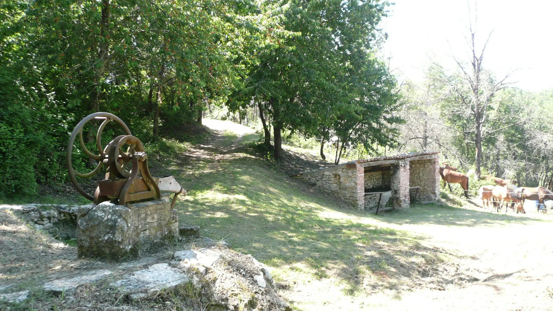 lavoir