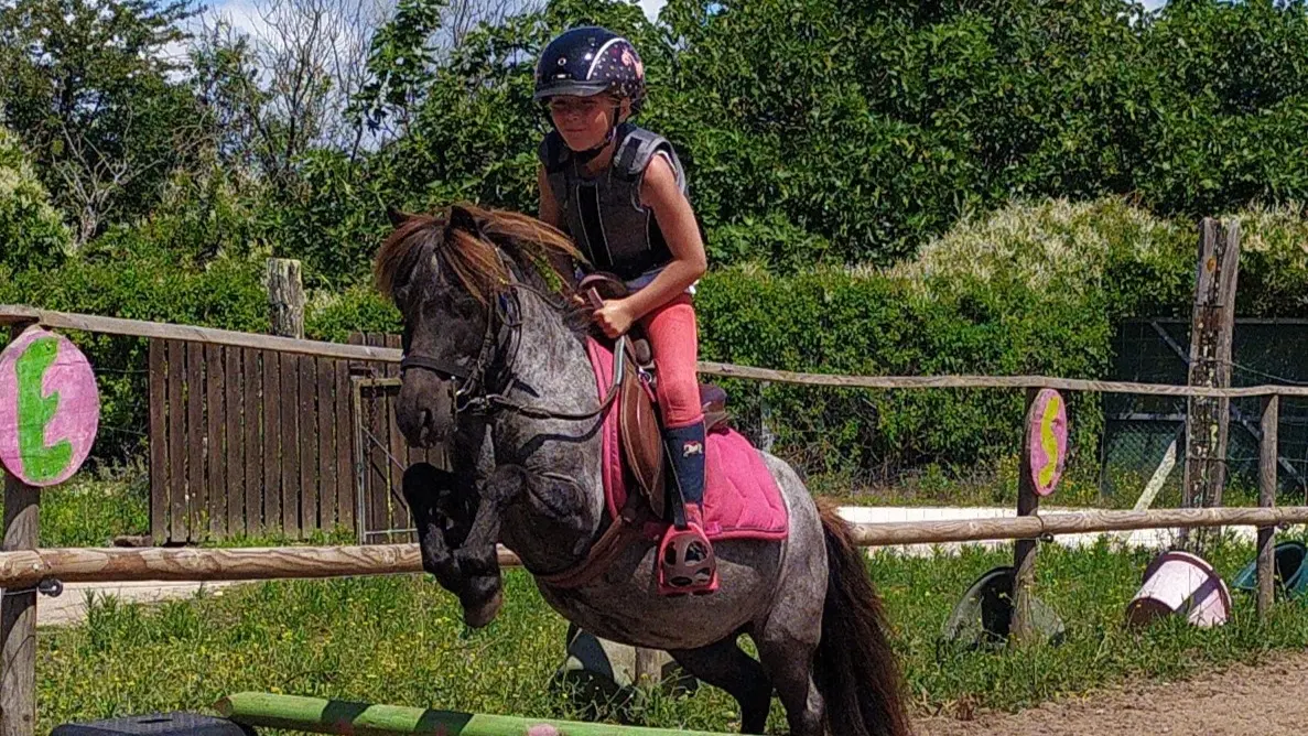 Saut d'obstacle à poney