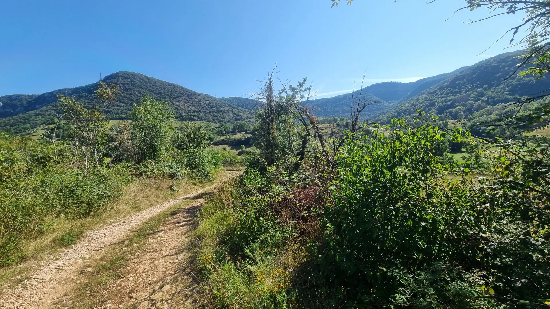 Gorges de l'Ain à VTT