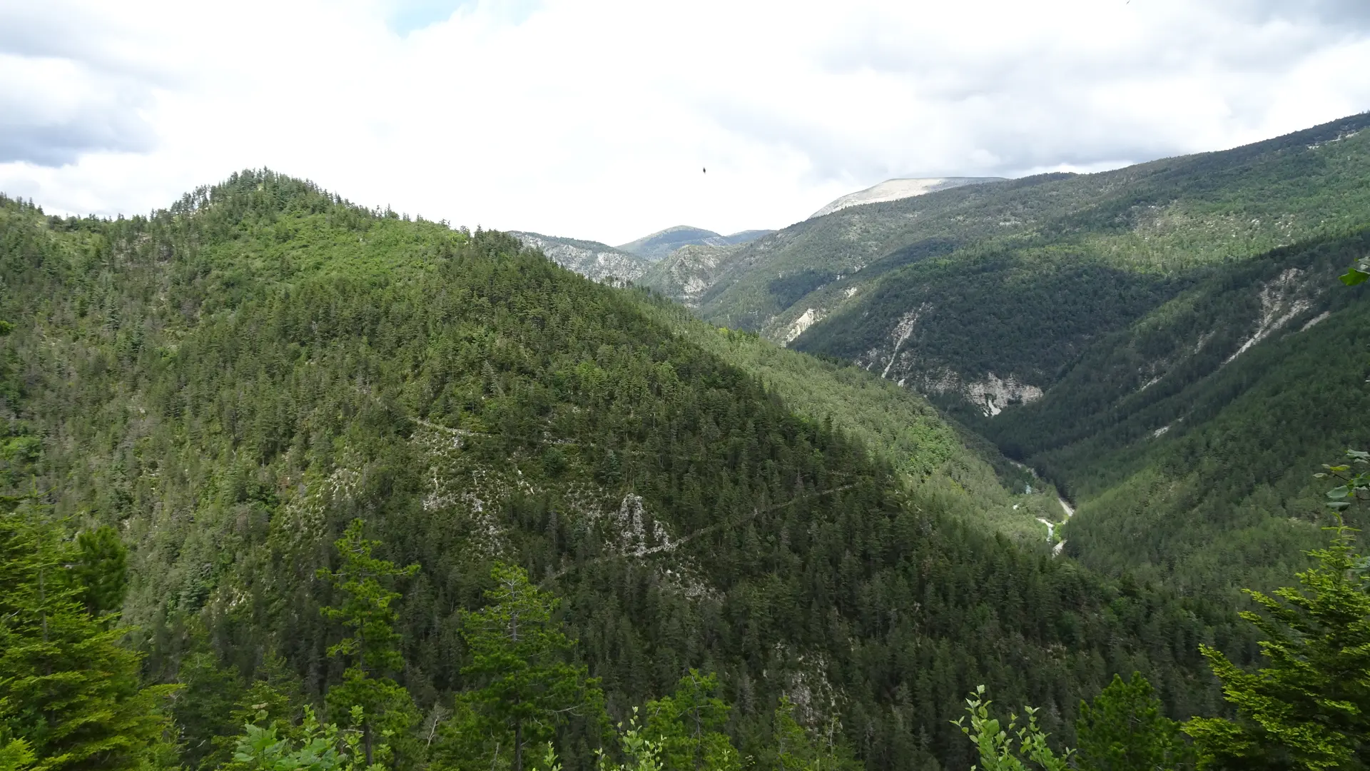 Le Coullet Saint André les Alpes