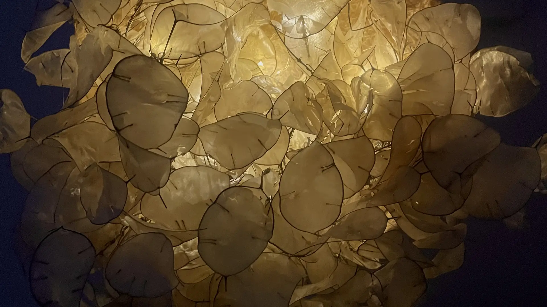 Lili-Clémence Bethemont_Roanne