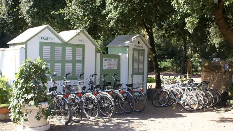 Alquiler de bicicletas en Puma