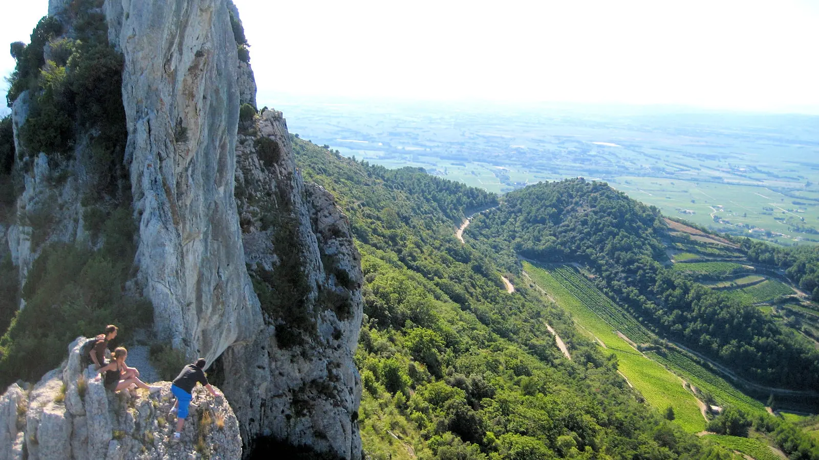 J. Daveri / Collect. ADT