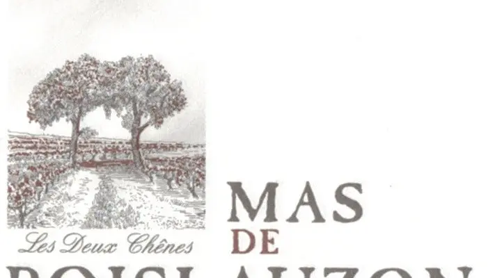 logo mas de boislauzon