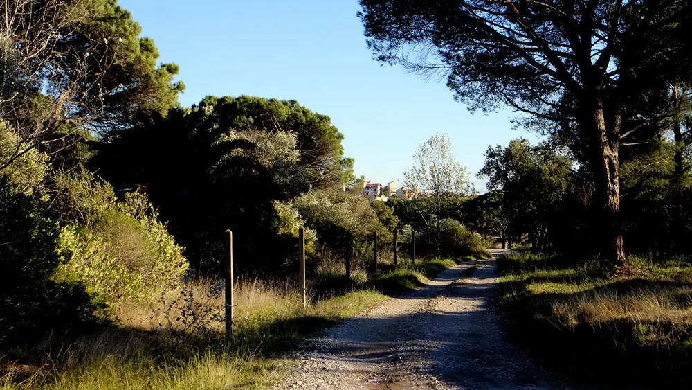 Chemin de Compostelle