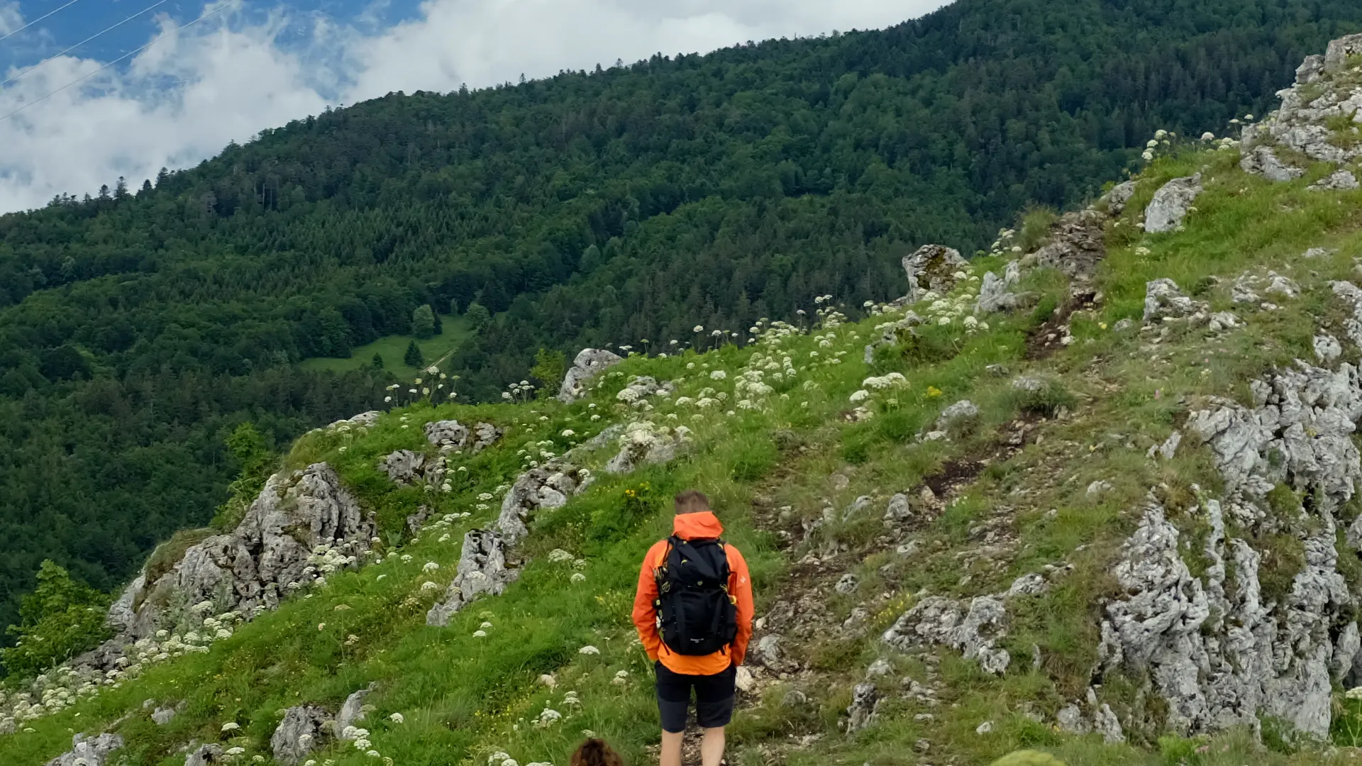 Randonnées et activités nature avec Impulsion