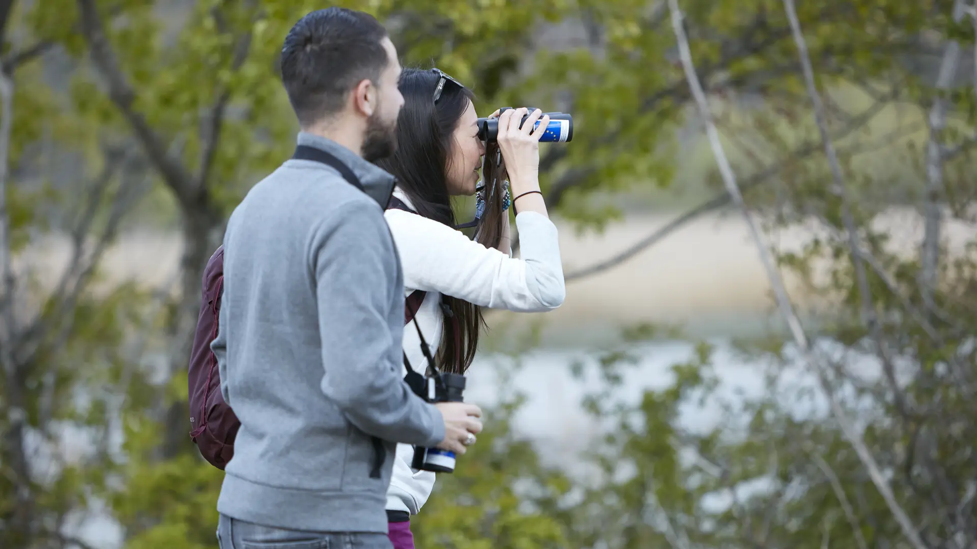 Observation du cubertin