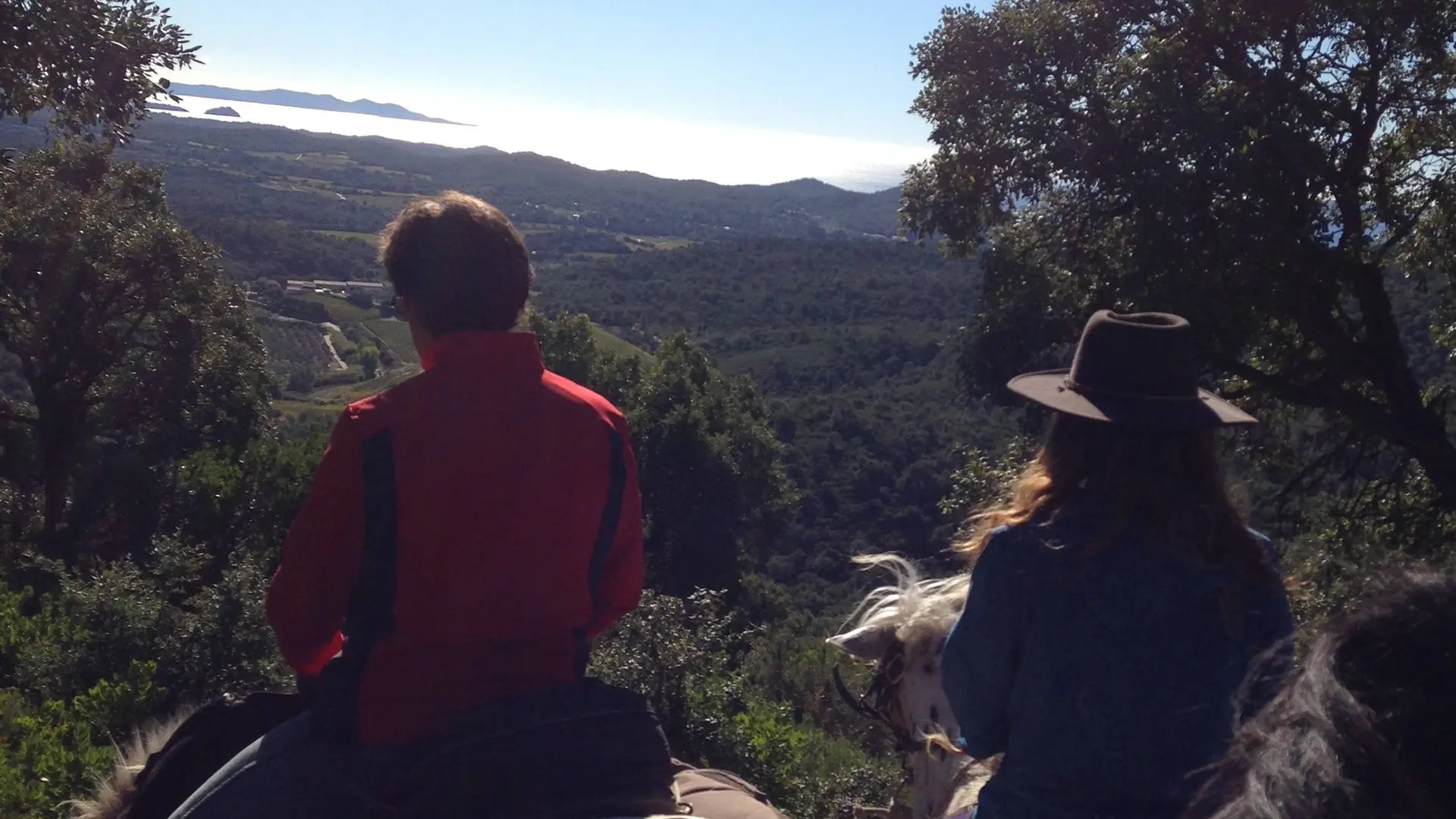 Vue de dos de 2 cavaliers observant la mer au loin