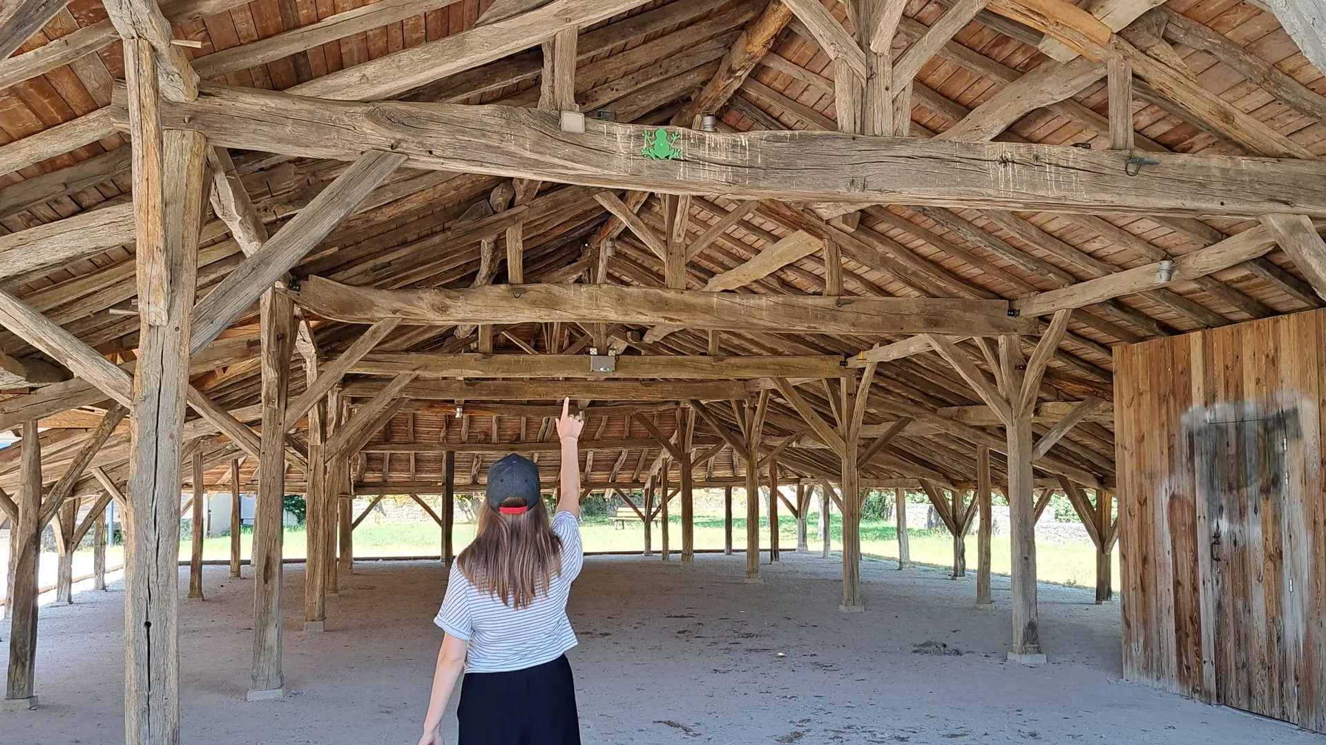 Carronnière de Mollardoury_Saint-Trivier-de-Courtes