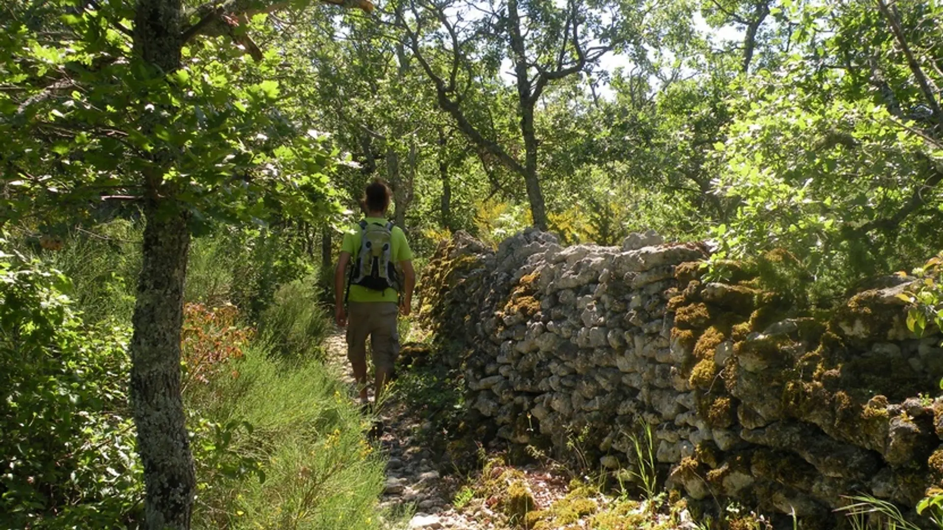 Sentier de La Gardette bordé de murs en pierre sèche