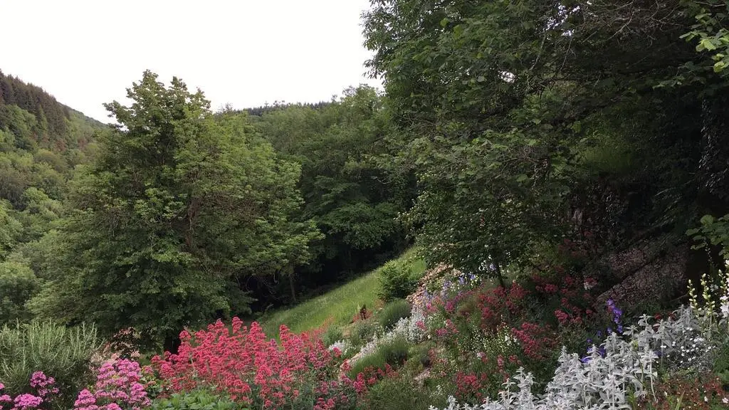 Le jardin au printemps