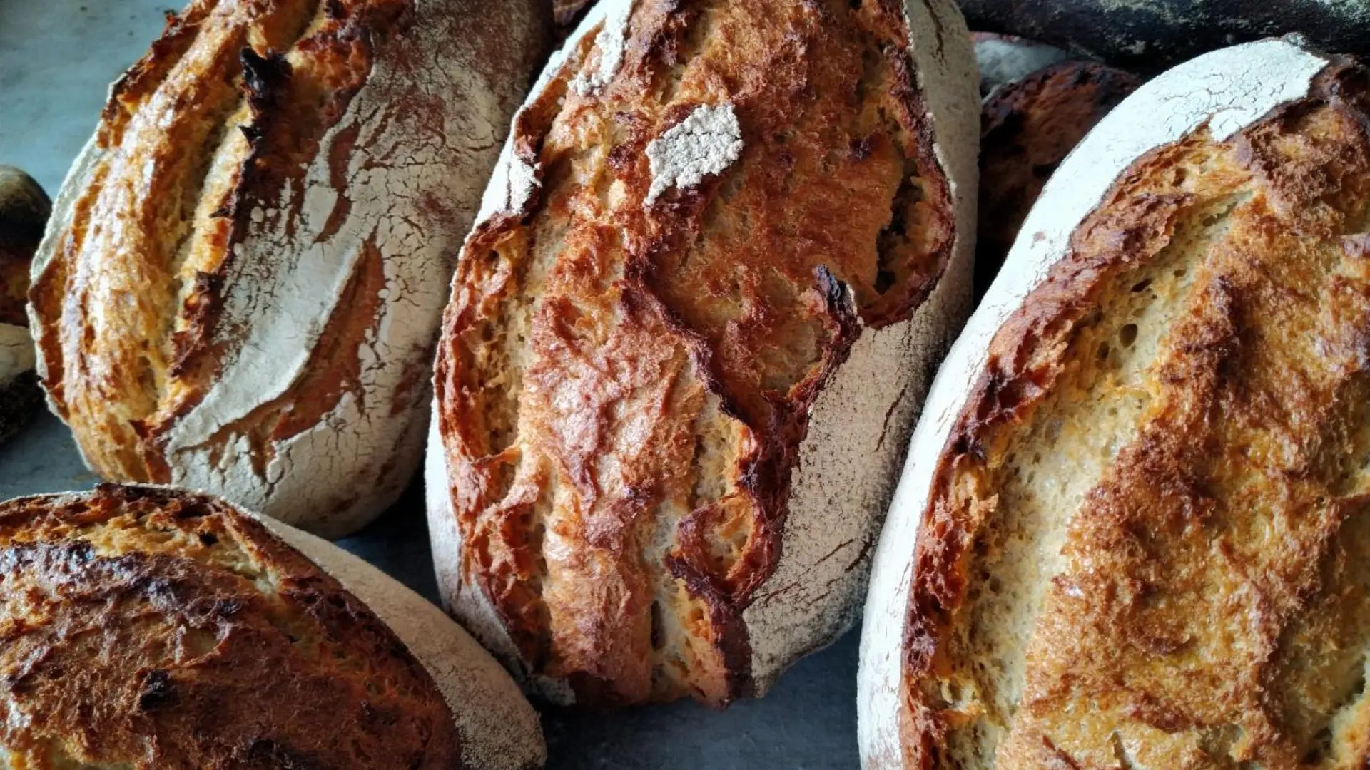 pains au levain bio