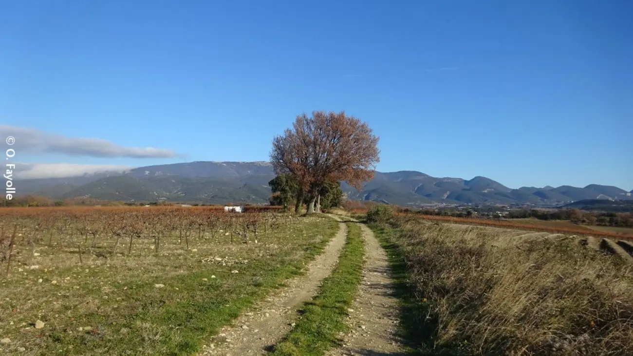 Le chemin des invasions