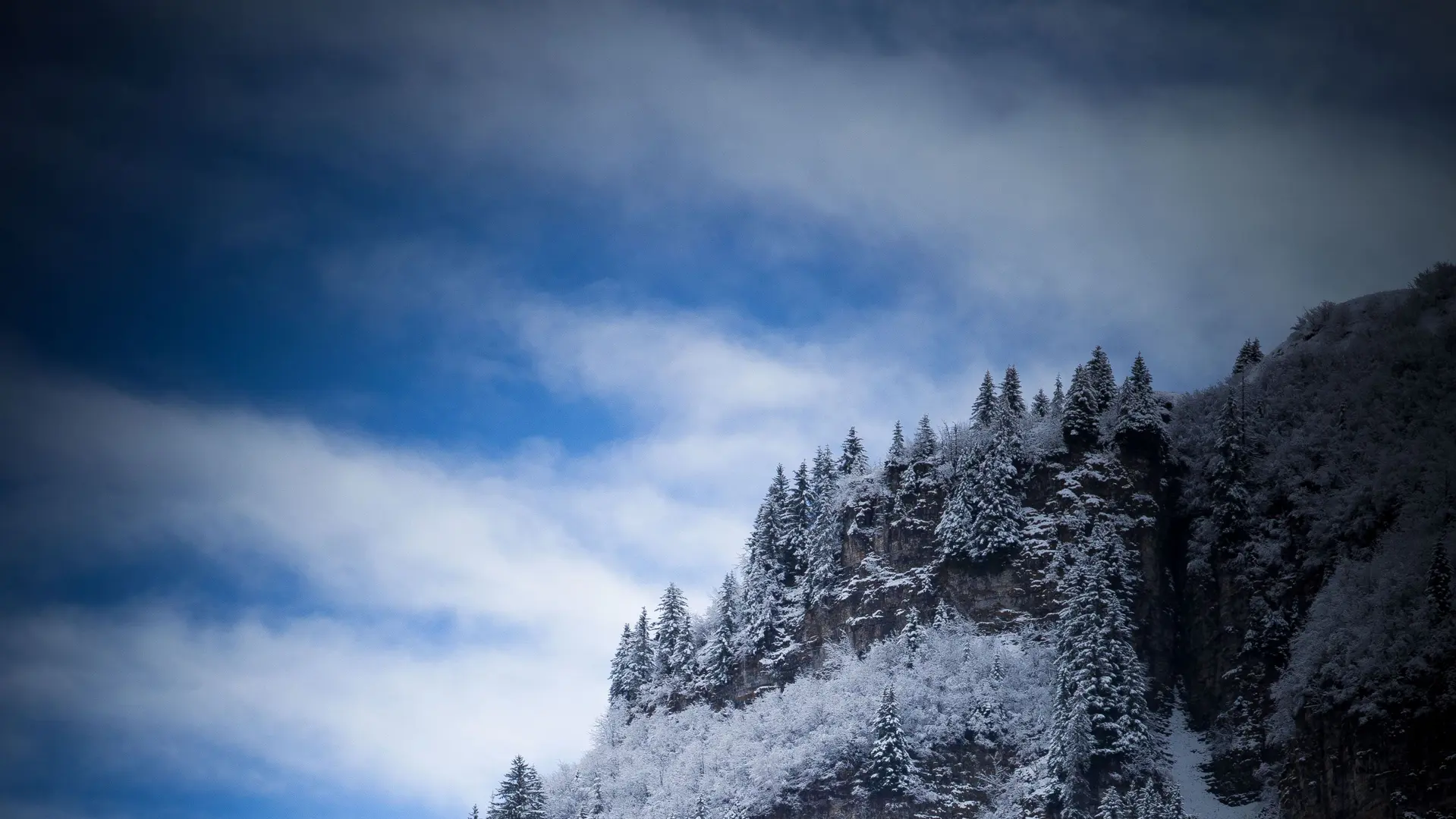 Stage Photo - Les bases de la photographie