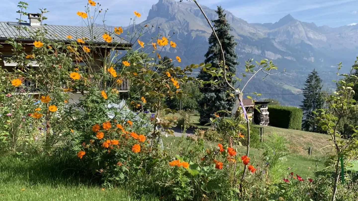 La chaîne des Fiz en Automne vue du jardin