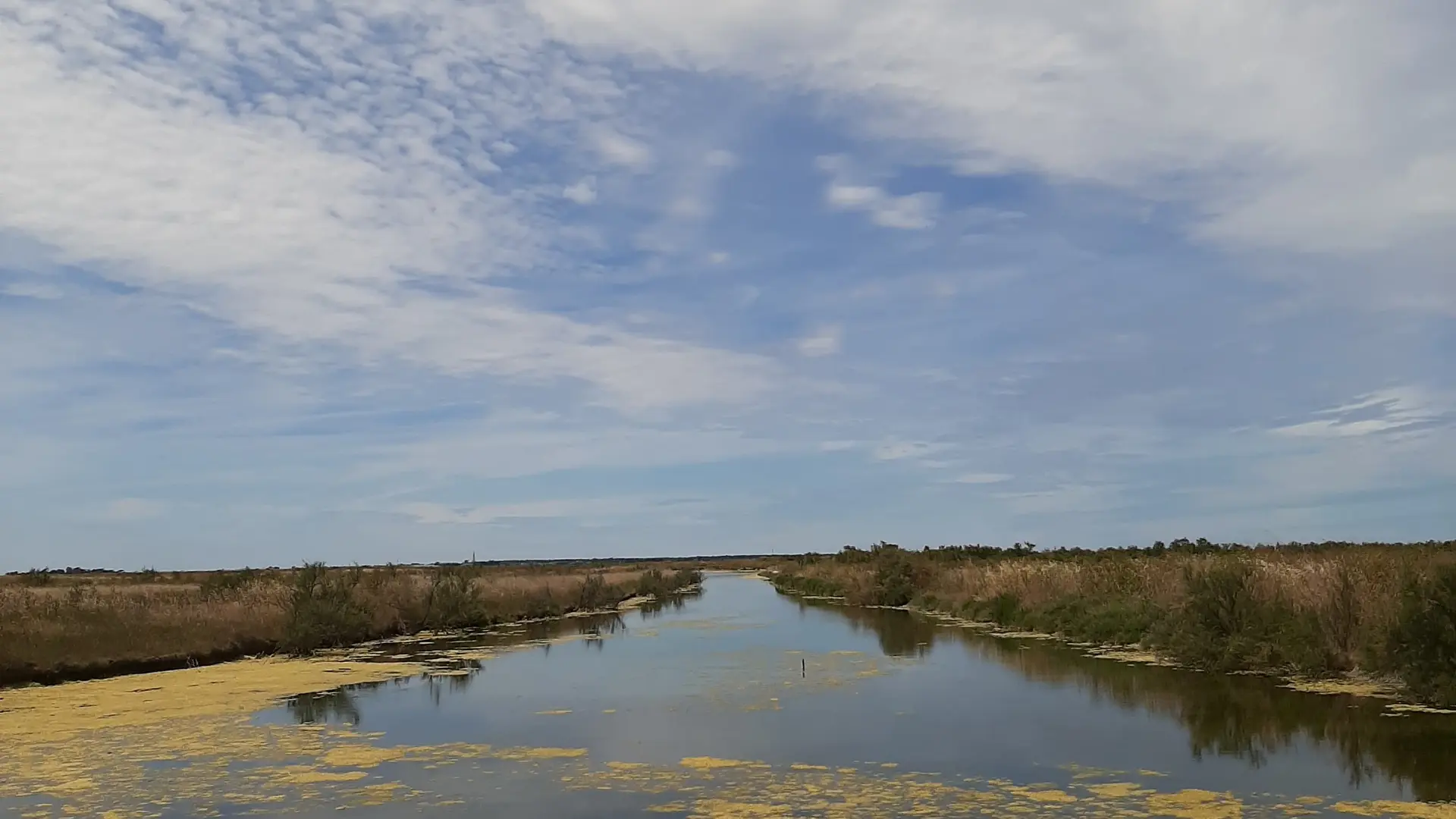 Marais salants de Loix