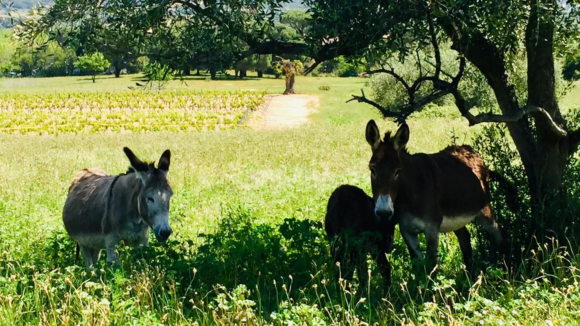 rencontre