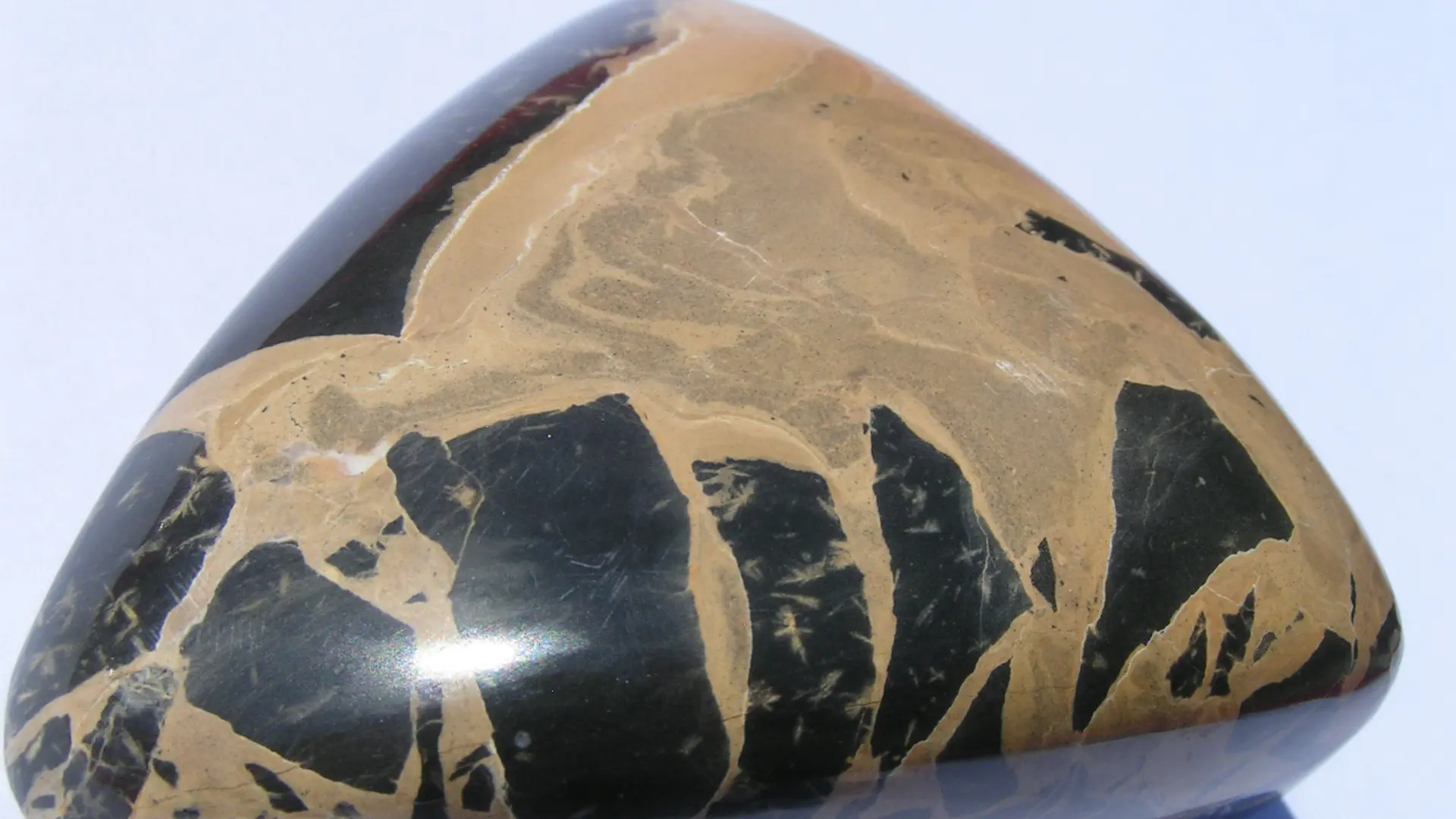 La Ferme de Téthys - Art et Géologie CROTS