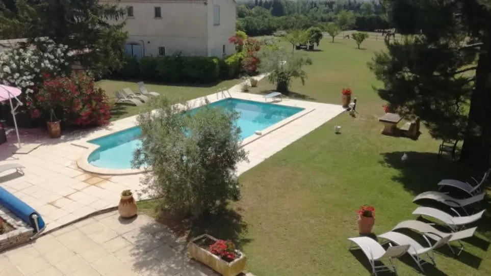 Le jardin et la piscine