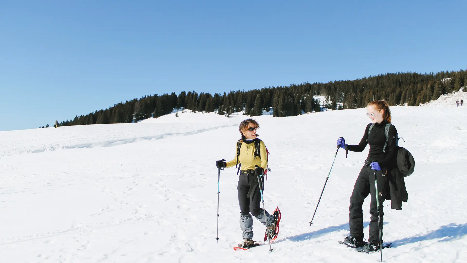 Plateau des Glières