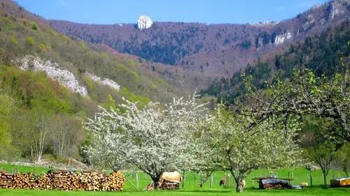 Patrimoine du village de Virieu-le-petit