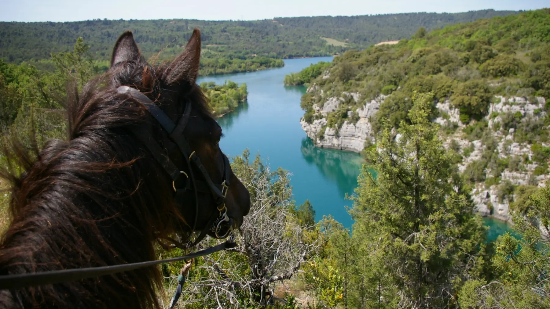 Vue sur les Gorges